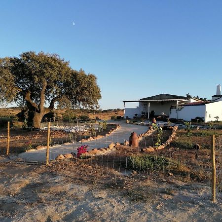 Monte Beatriz Villa Reguengos de Monsaraz Bagian luar foto