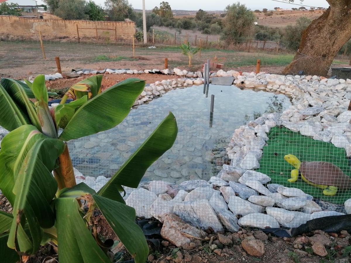 Monte Beatriz Villa Reguengos de Monsaraz Bagian luar foto