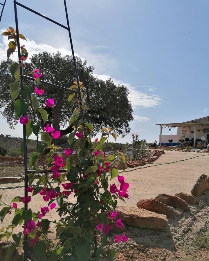 Monte Beatriz Villa Reguengos de Monsaraz Bagian luar foto