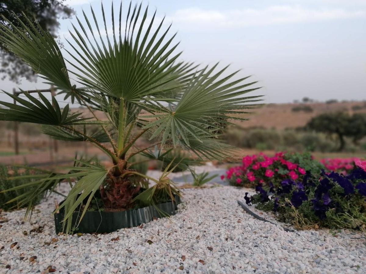 Monte Beatriz Villa Reguengos de Monsaraz Bagian luar foto