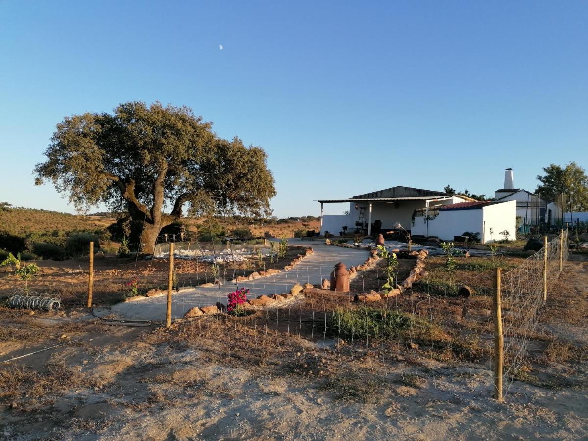Monte Beatriz Villa Reguengos de Monsaraz Bagian luar foto