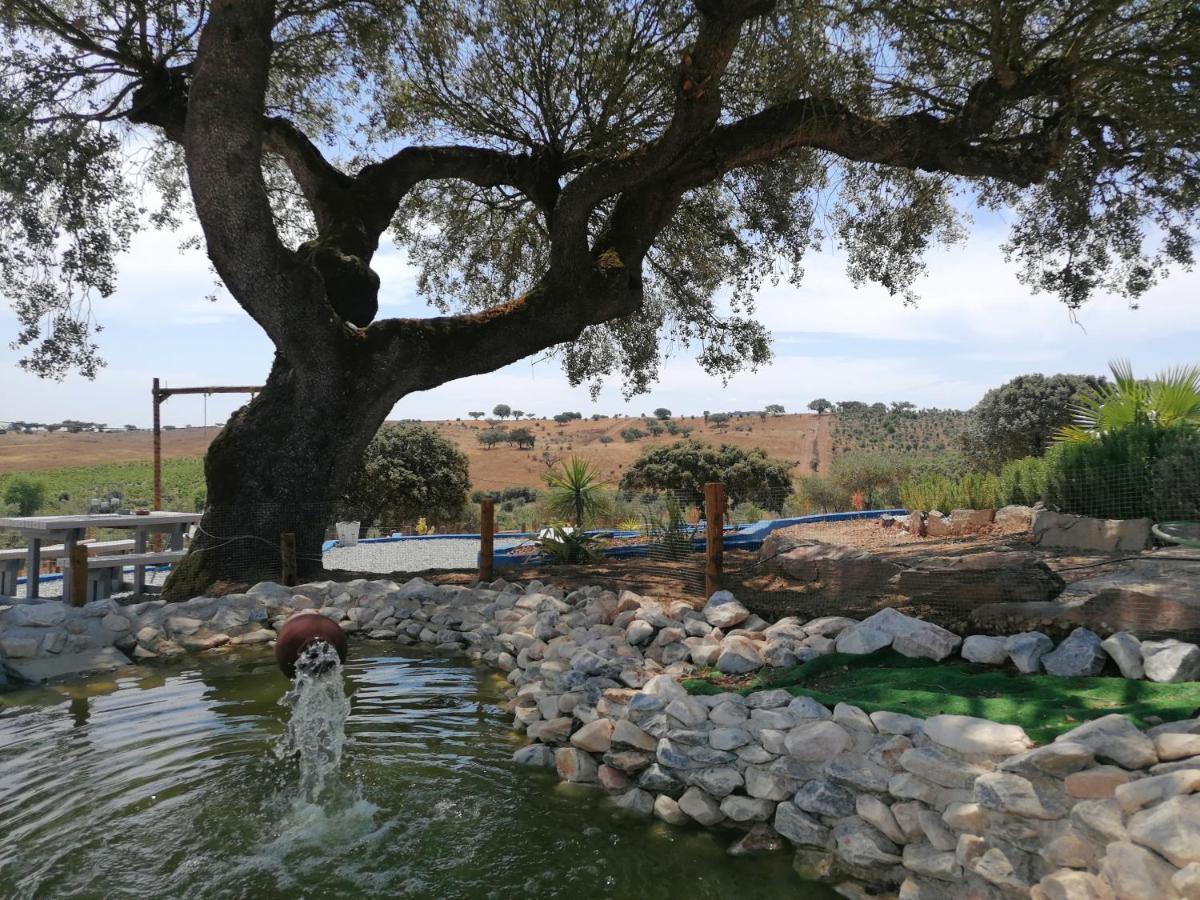 Monte Beatriz Villa Reguengos de Monsaraz Bagian luar foto